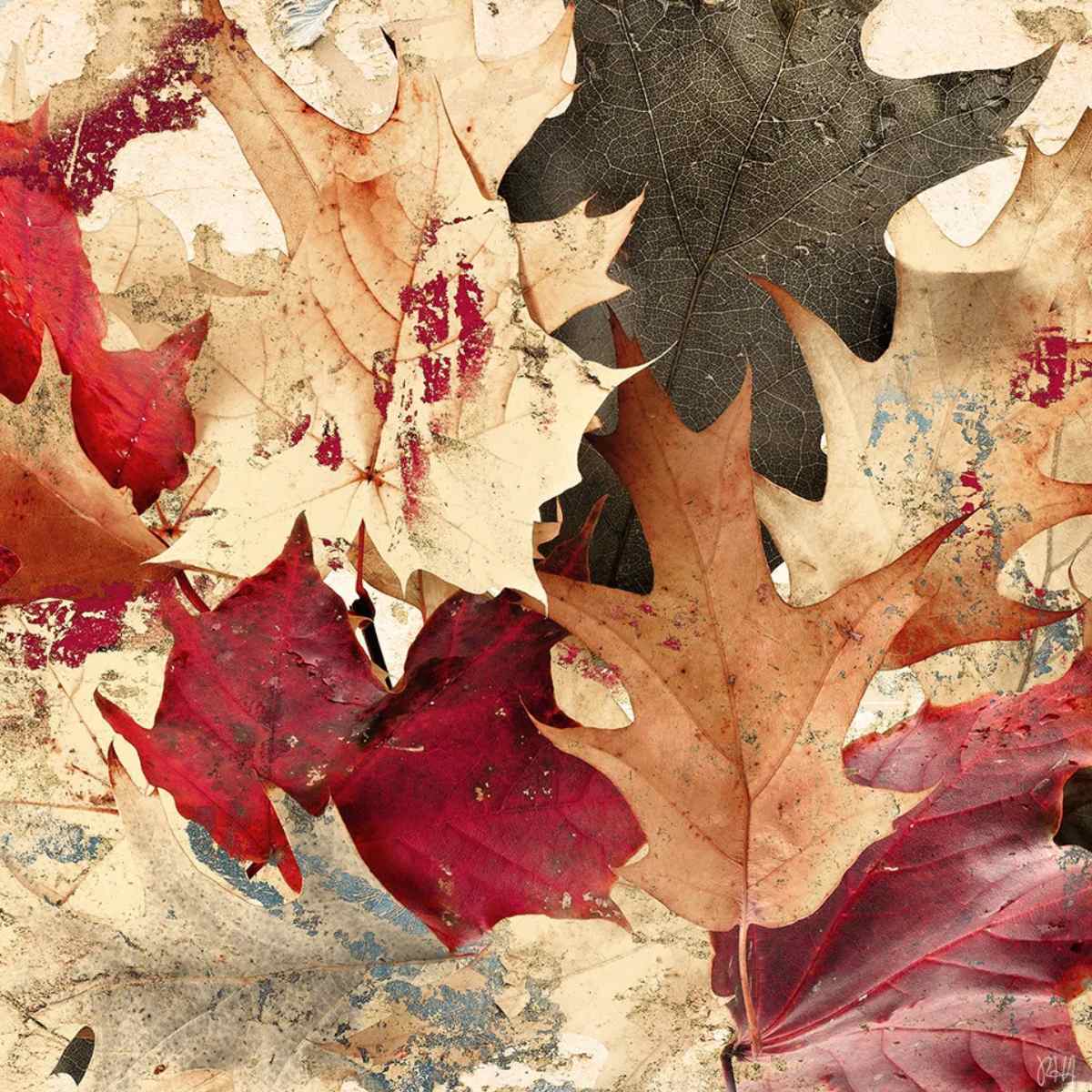 Fall & Autumn Wall Art