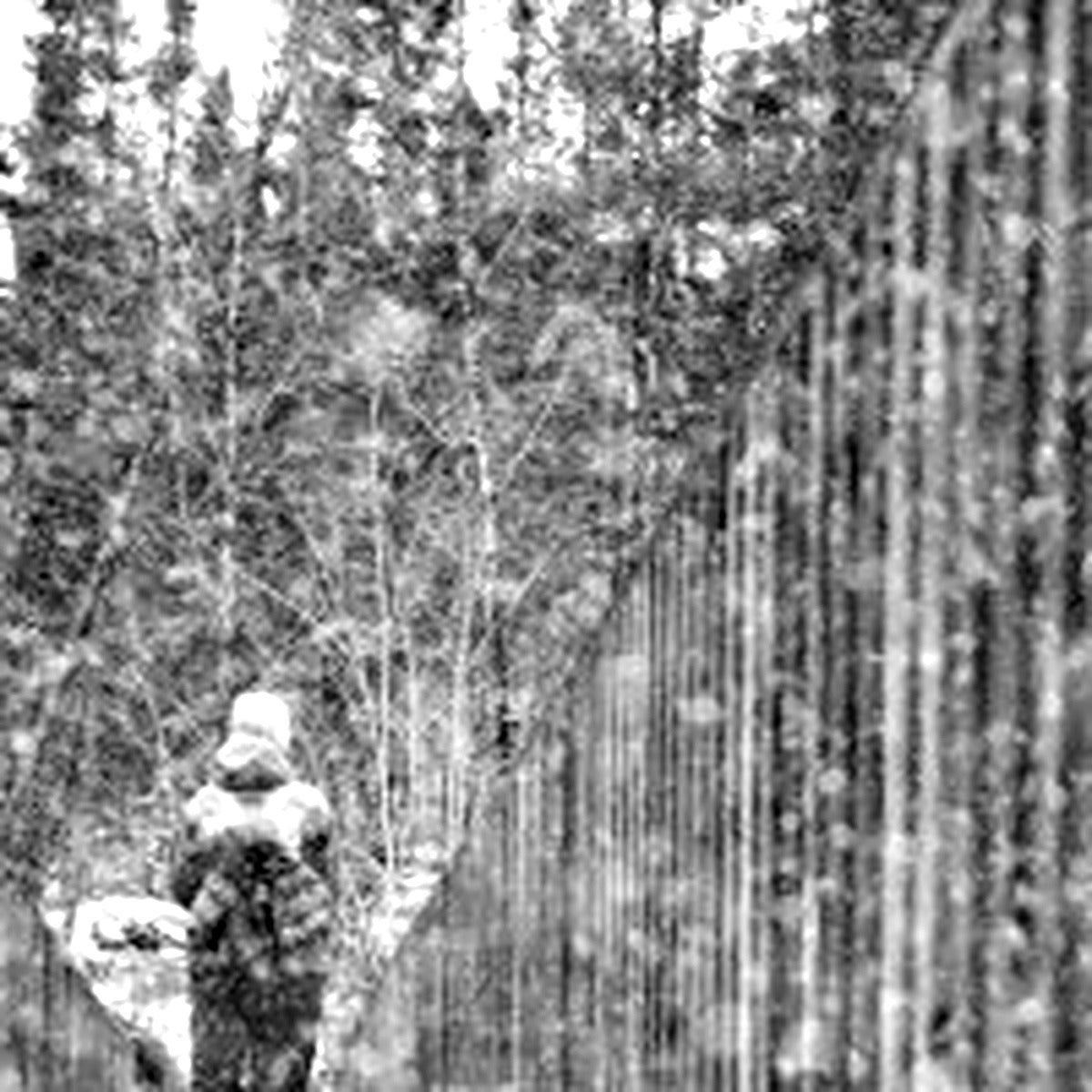 Portrait of photographer Kimberly