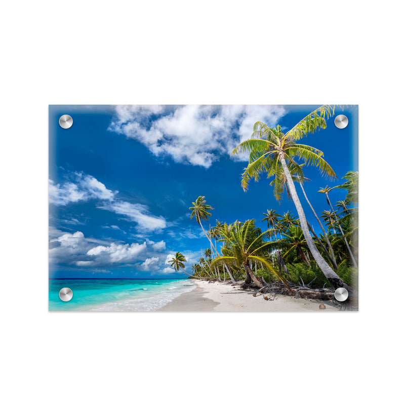 "Desert Island" Acrylic Wall Art
