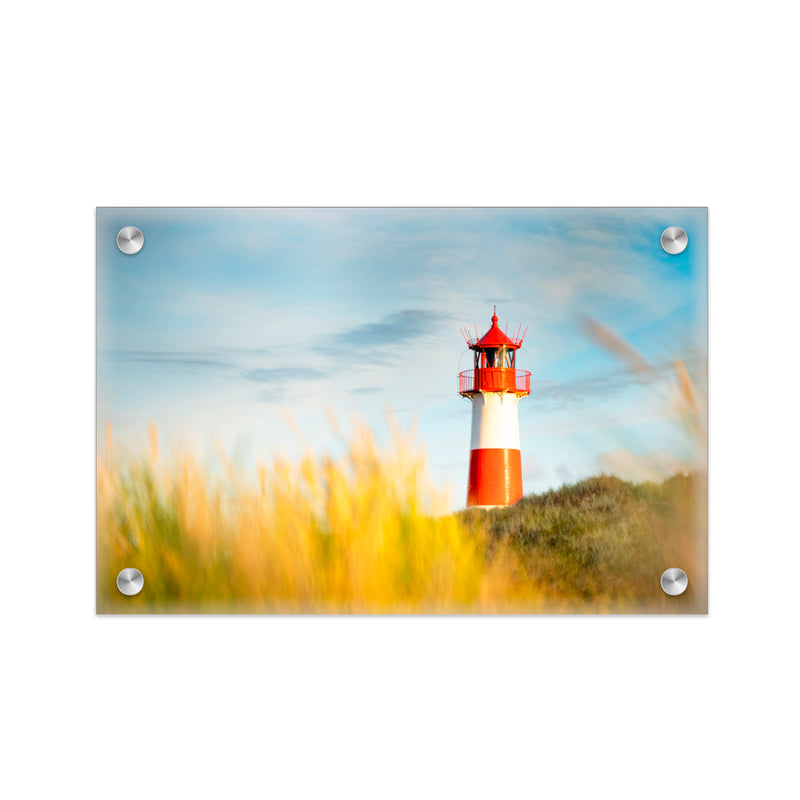"Morning Hour" Acrylic Wall Art