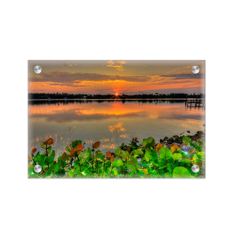 "Beauty at Rest" Acrylic Wall Art