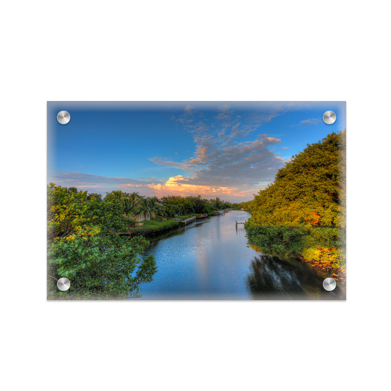 "Wild Allure" Acrylic Wall Art