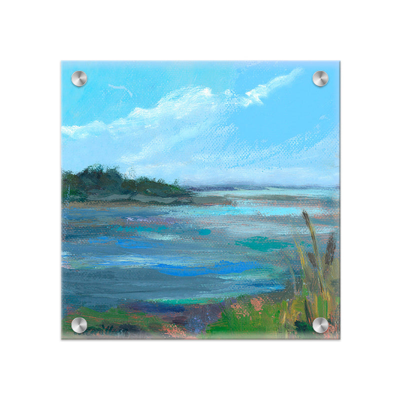 "Coral & Blues" Acrylic Wall Art