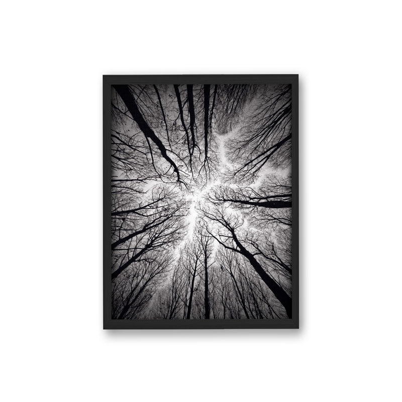 "Ceiling" Framed Textured Wall Art