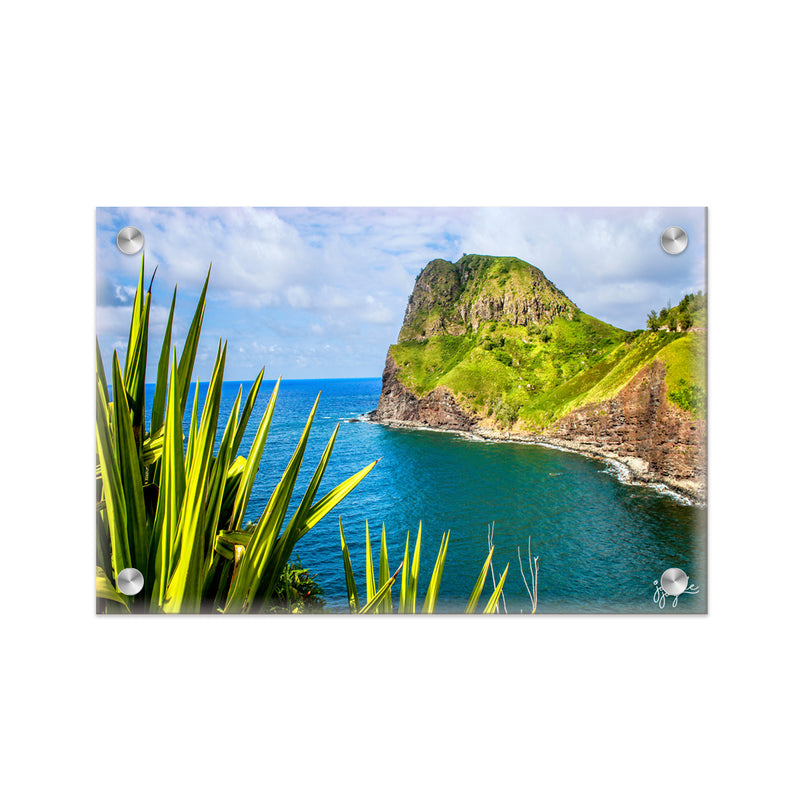 "Point Me At The Sky" Acrylic Wall Art