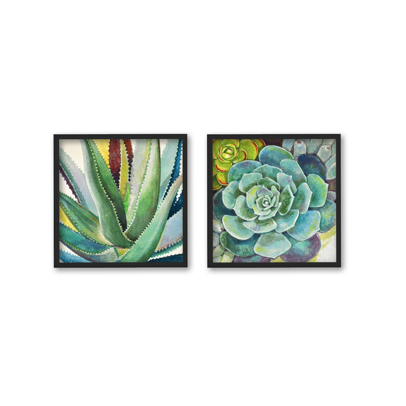 "Brilliant Succulents I/II "Set of Two Framed Textured Wall Art