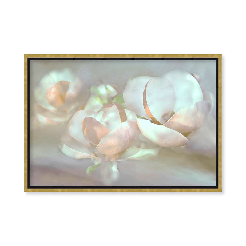 "Magnolia dreams" Framed Canvas Wall Art