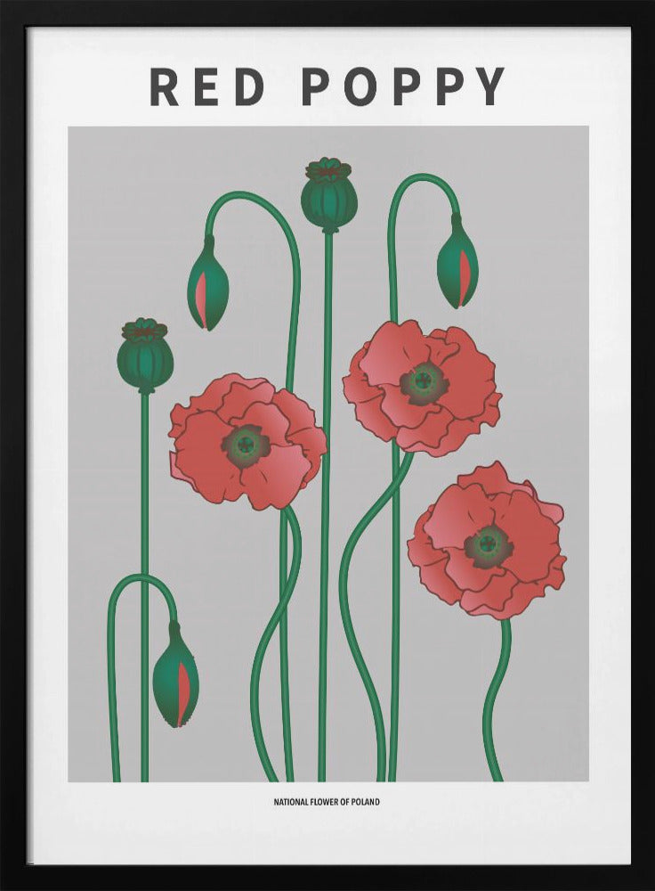 "Red Poppy" Framed Textured Wall Art