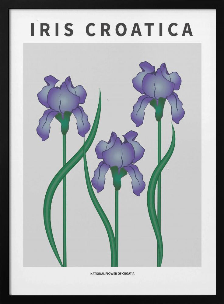 "Iris Croatica" Framed Textured Wall Art