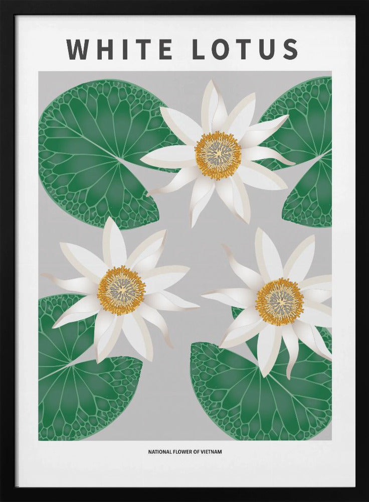 "White Lotus" Framed Textured Wall Art