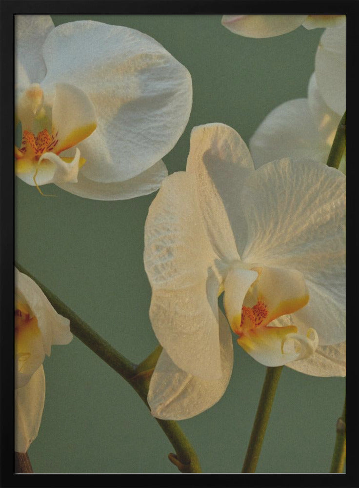 "Floral Haven" Framed Textured Wall Art