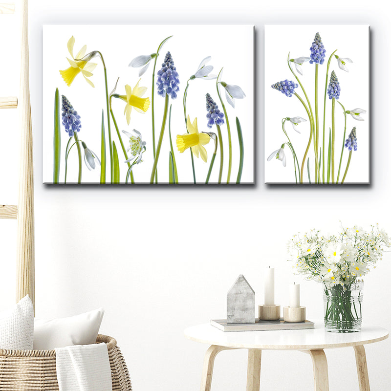 Muscari and Galanthus' 2 Piece Wrapped Canvas Wall Art Set