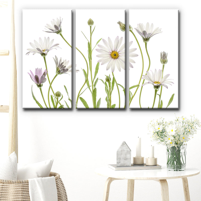 Cape Daisies' 3 Piece Wrapped Canvas Wall Art Set