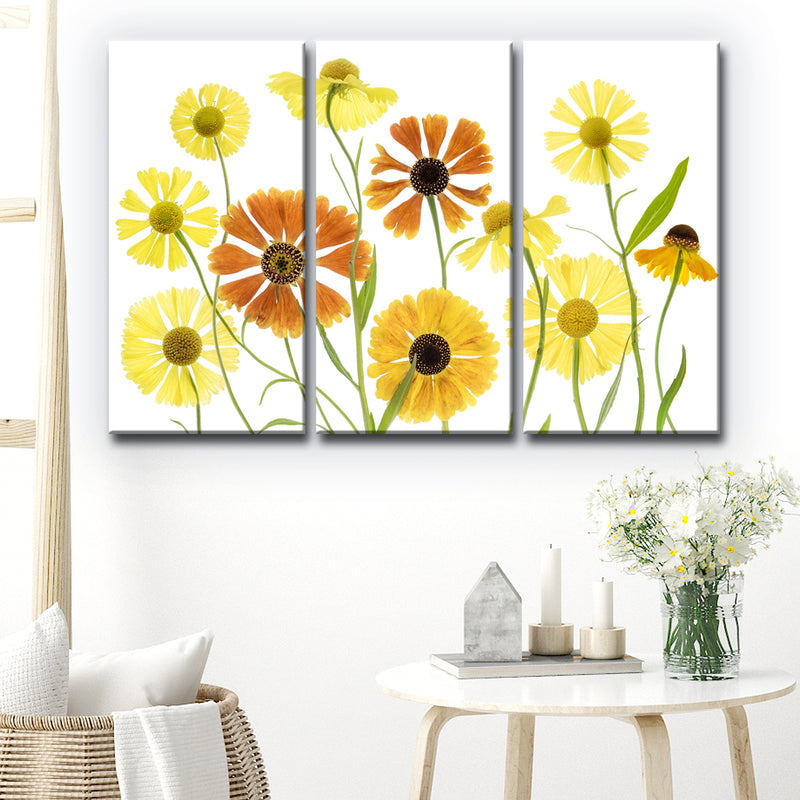 Helenium' 3 Piece Wrapped Canvas Wall Art Set