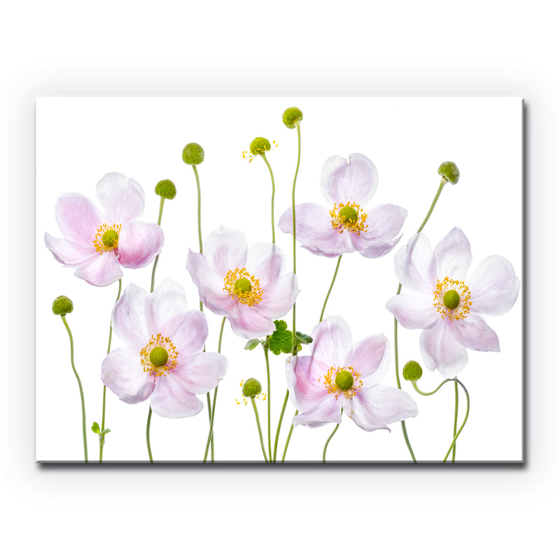Japanese Anemones' Wrapped Canvas Wall Art
