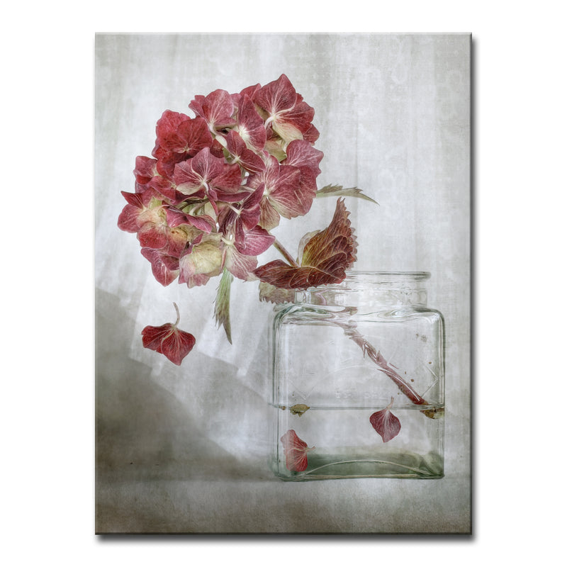 Hydrangea' Wrapped Canvas Wall Art