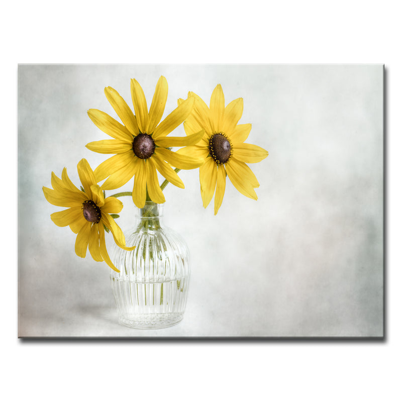 Rudbeckia' Wrapped Canvas Wall Art