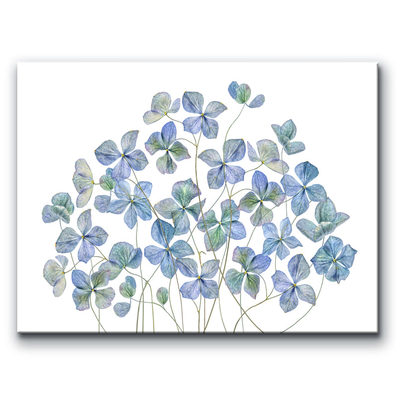 Hydrangea I' Wrapped Canvas Wall Art