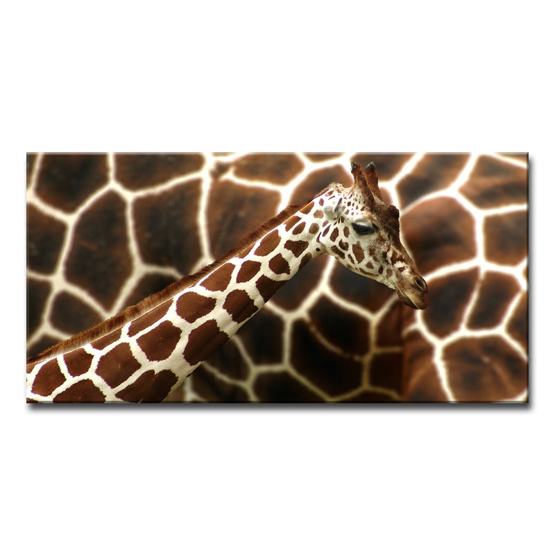 Giraffe' Wrapped Canvas Wall Art