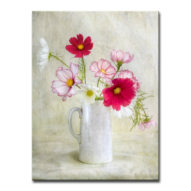 Cosmos Carnival' Wrapped Canvas Wall Art