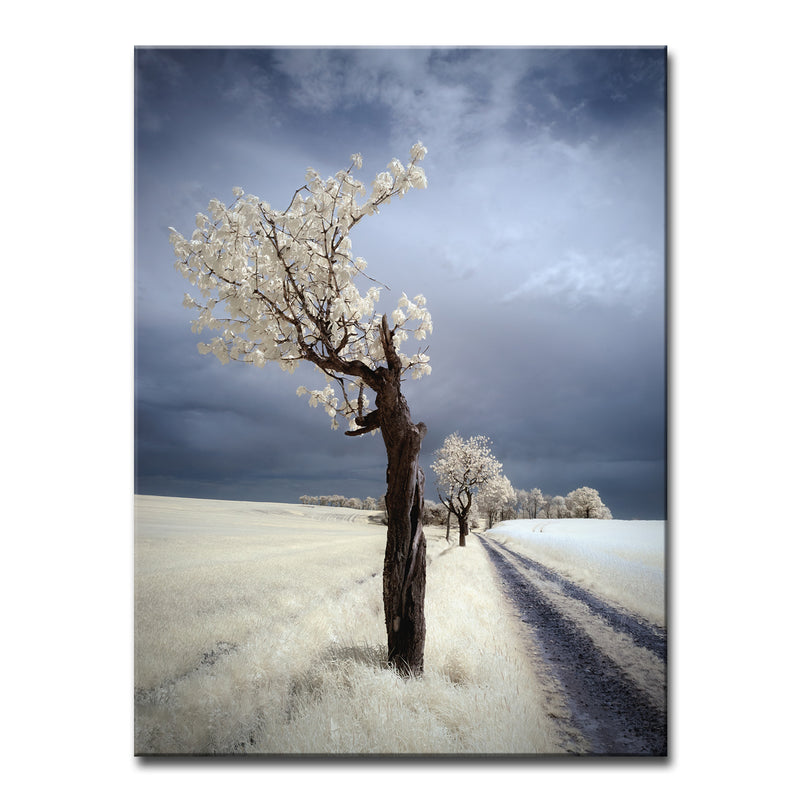 IRenka' Wrapped Canvas Wall Art