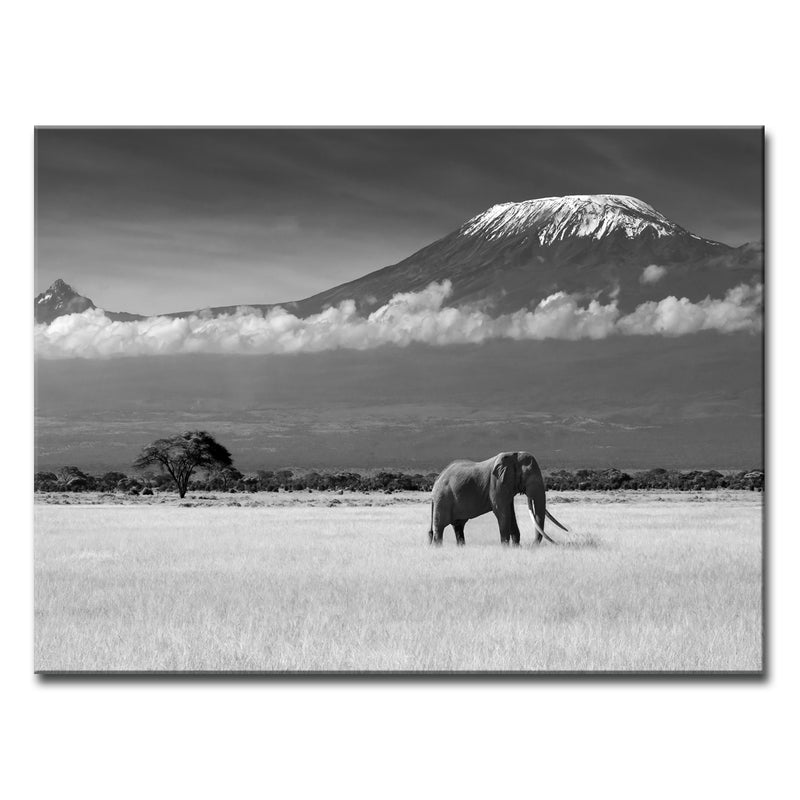 Lost Colors II' Wrapped Canvas Wall Art