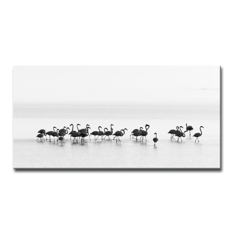 Flamingos' Wrapped Canvas Wall Art