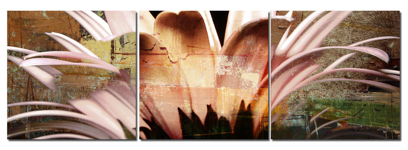 Daisy' 3 Piece Wrapped Canvas Wall Art Set