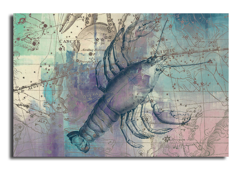 Zodiac Study: Cancer'  Wrapped Canvas Wall Art