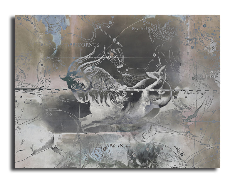 Zodiac Study: Capricorn'  Wrapped Canvas Wall Art