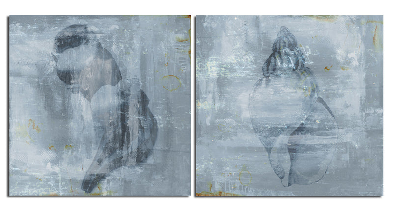 Modern Shells' 2 Piece Wrapped Canvas Wall Art Set