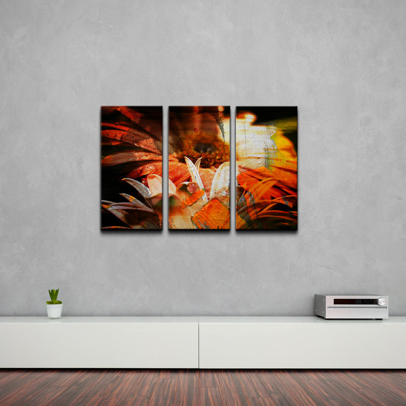 Daisies' 3 Piece Wrapped Canvas Wall Art