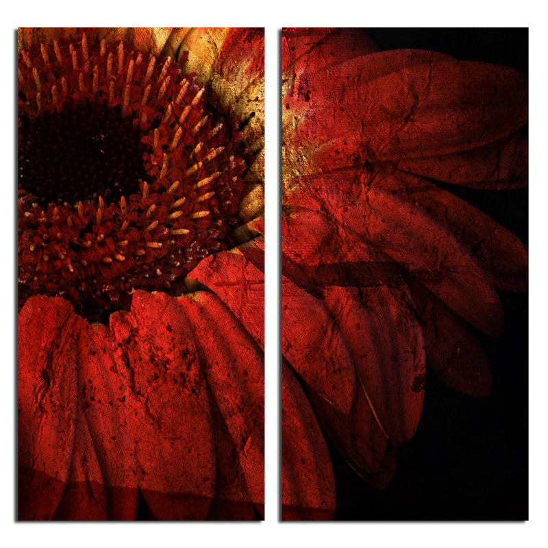 Gerber Daisy' 2 Piece Wrapped Canvas Wall Art Set
