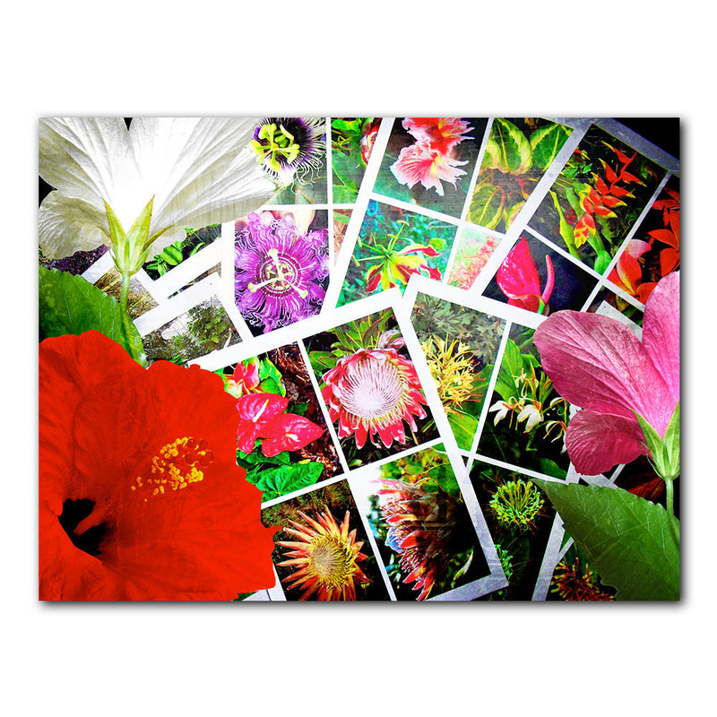 'Tropical Flowers' Wrapped Canvas Wall Art
