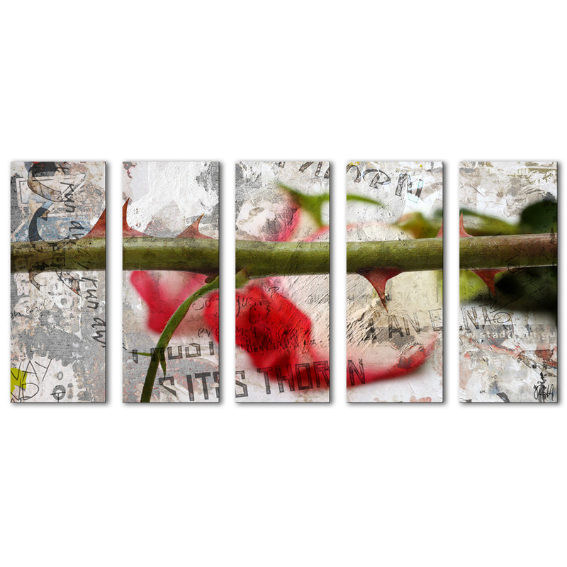Born2BWild II' 5-piece Canvas Wall Art