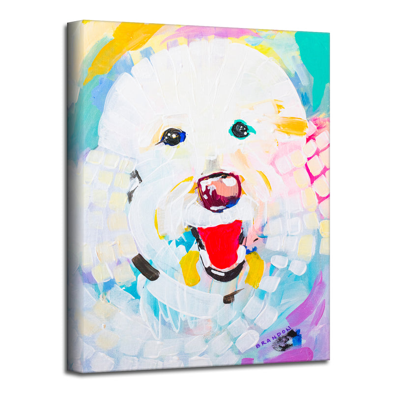 Colorburst Bichon' Wrapped Canvas Wall Art