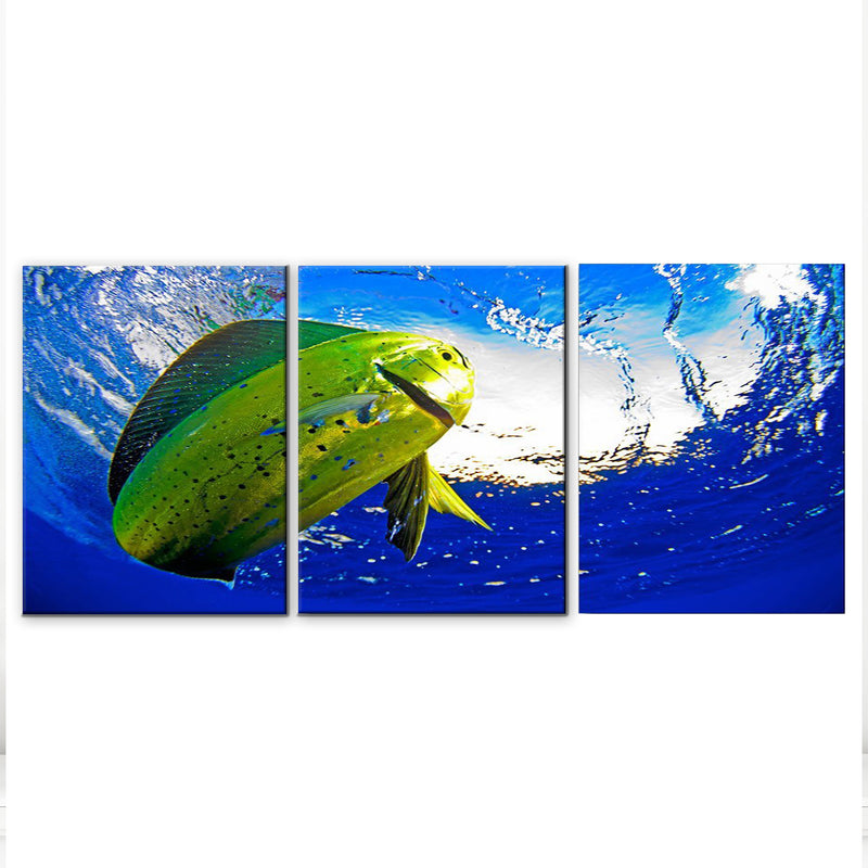 'Mahi' 3-Piece Wrapped Canvas Wall Art Set