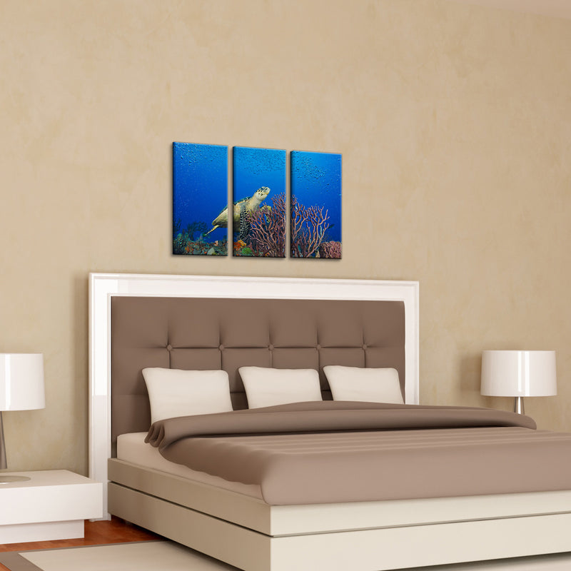 Turtle' 3-piece Gallery-wrapped Canvas Art Set