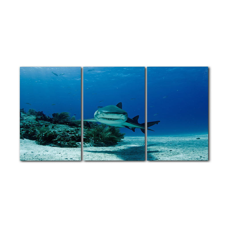 'Shark' 3-Piece Wrapped Canvas Wall Art Set