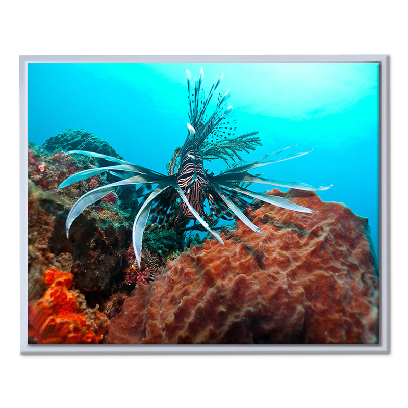 'Underwater' Framed Canvas Wall Art