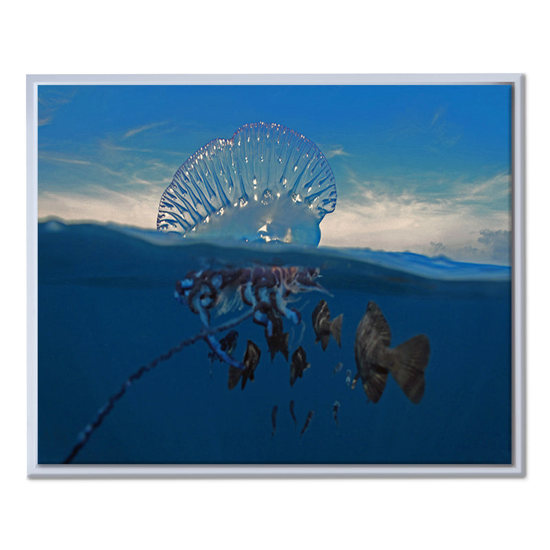 'Jellyfish' Framed Canvas Wall Art