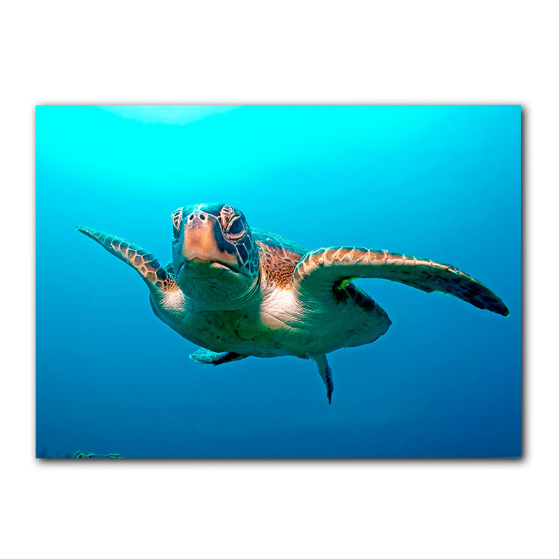 'Squirt Blue' Wrapped Canvas Wall Art