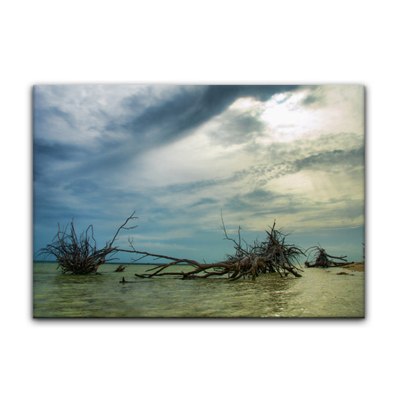 'Blue Mist' Wrapped Canvas Wall Art
