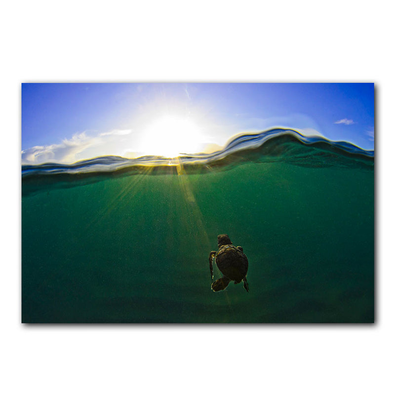 'Turtle Green Splitch Hatch' Wrapped Canvas Wall Art