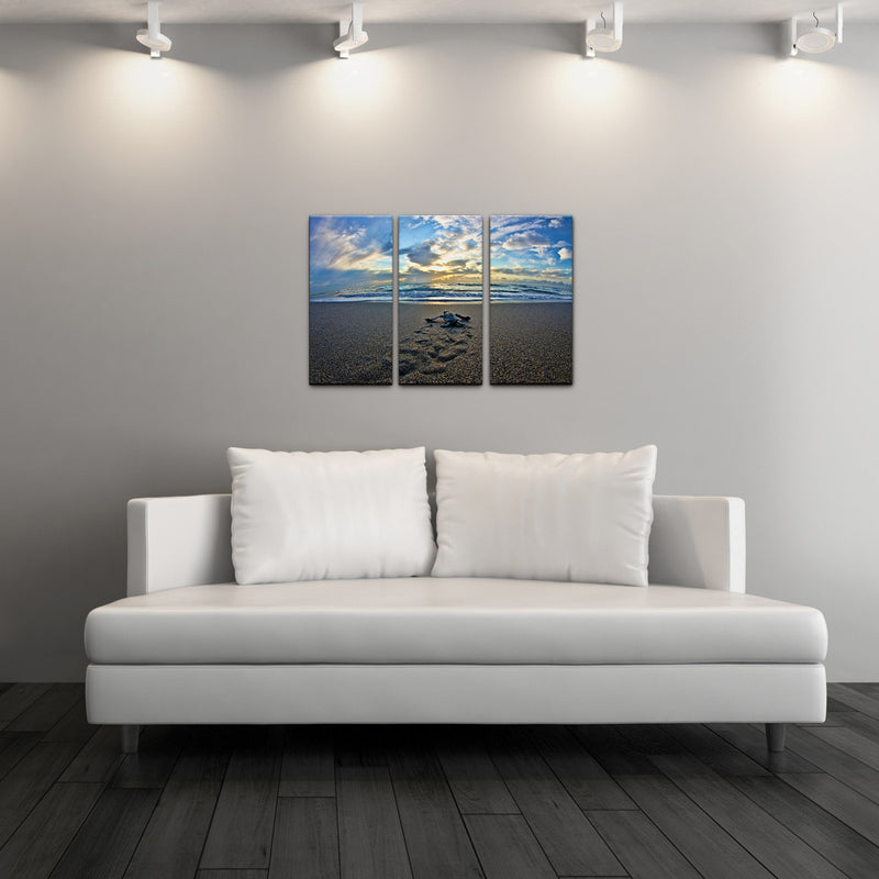 Turtle' Acrylic Art 3-piece Set