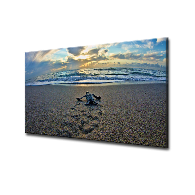 Turtle' ArtPlexi by Ready2HangArt