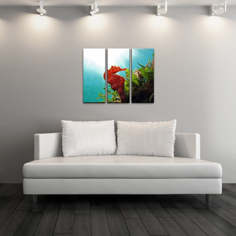 Seahorse' Acrylic Art 3-piece Set
