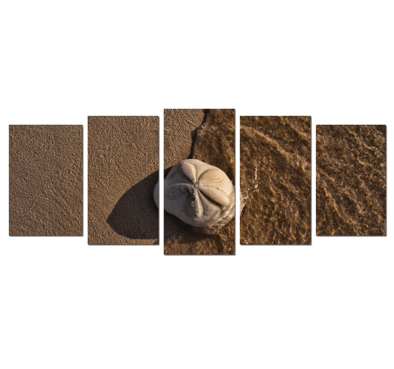 'Seabiscuit' 5-Piece Wrapped Canvas Wall Art Set