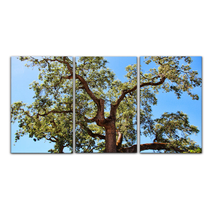 'Tree' 3-Piece Wrapped Canvas Wall Art Set