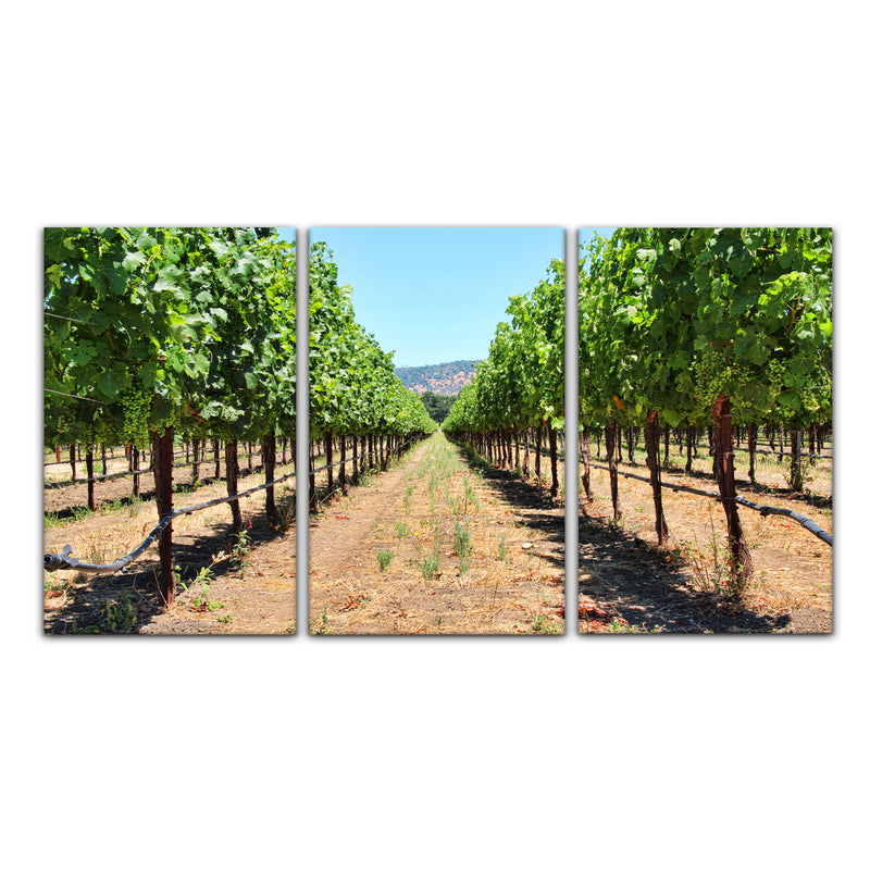 'Napa Grapes' 3-Piece Wrapped Canvas Wall Art Set